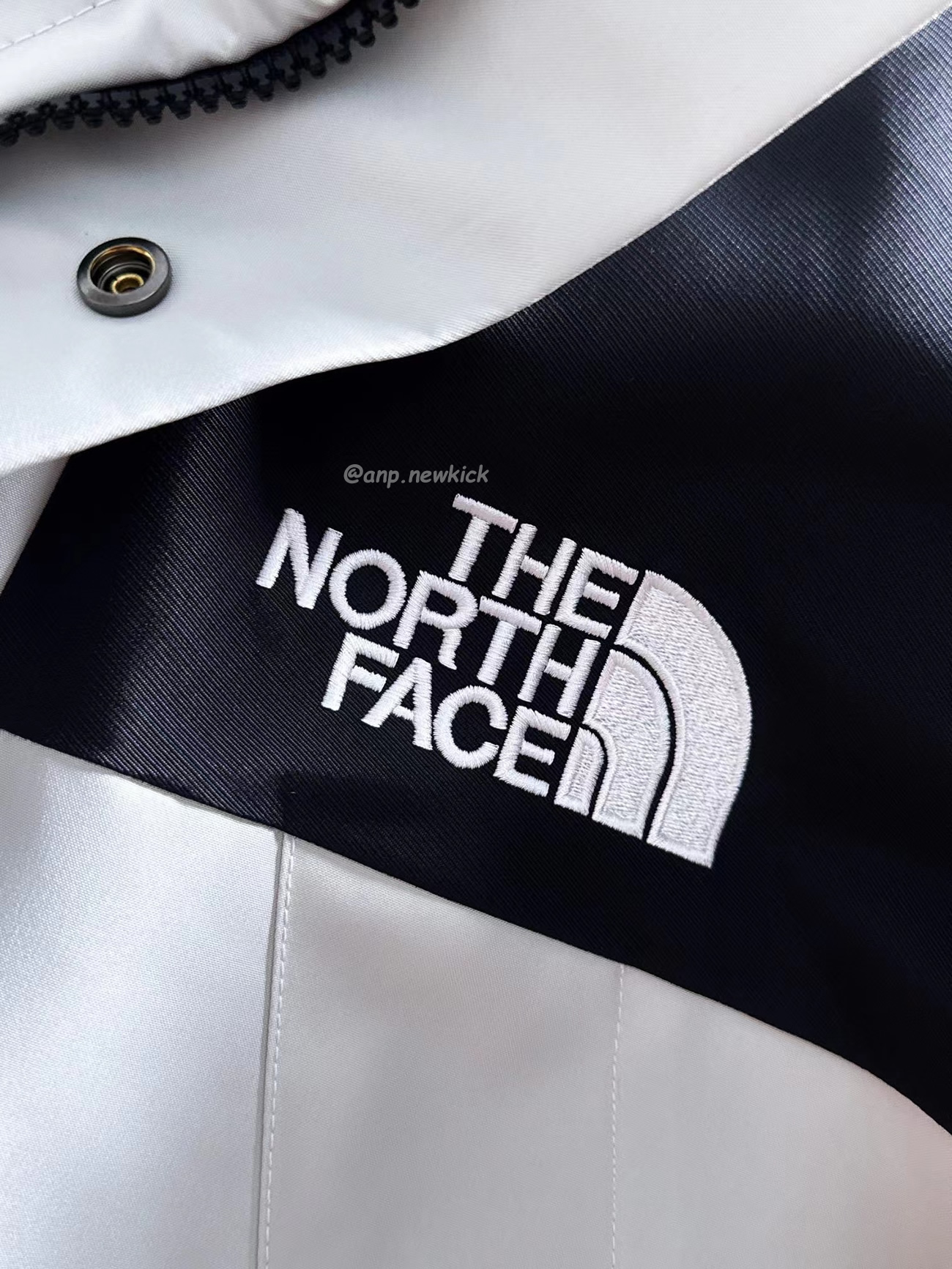 The North Face Retro 1986 Futurelight (3) - www.newkick.vip