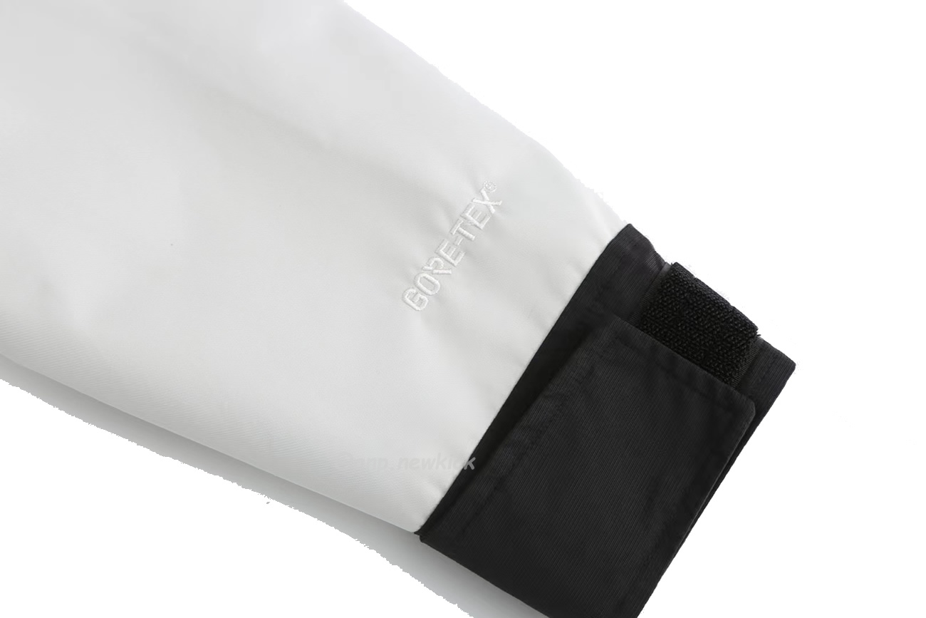 The North Face Retro 1986 Futurelight (9) - www.newkick.vip