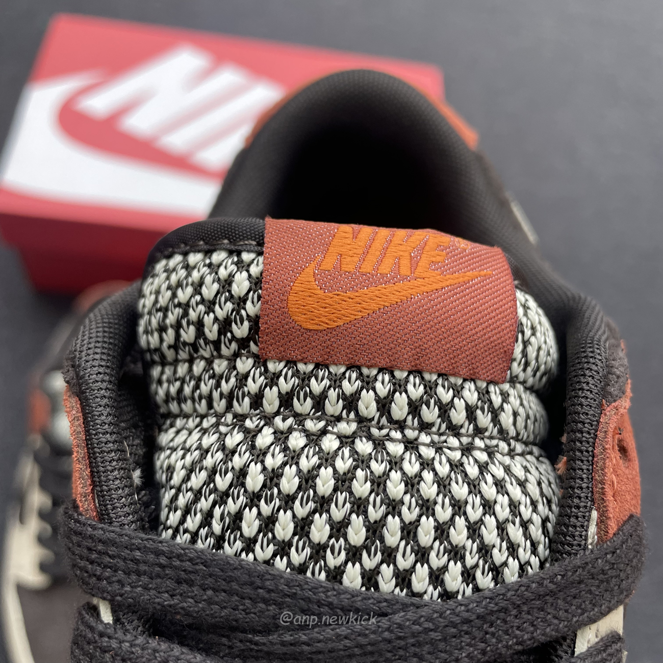 Nike Dunk Low Red Panda Fv0305 200 (10) - www.newkick.vip