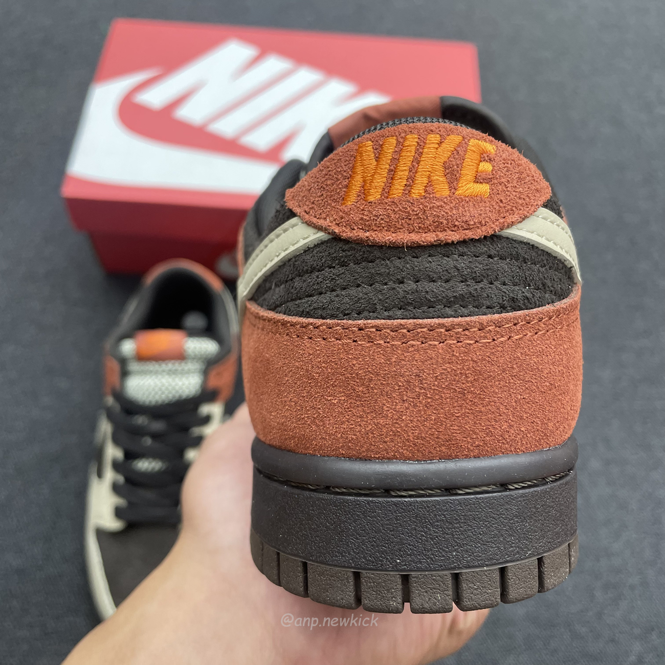 Nike Dunk Low Red Panda Fv0305 200 (8) - www.newkick.vip