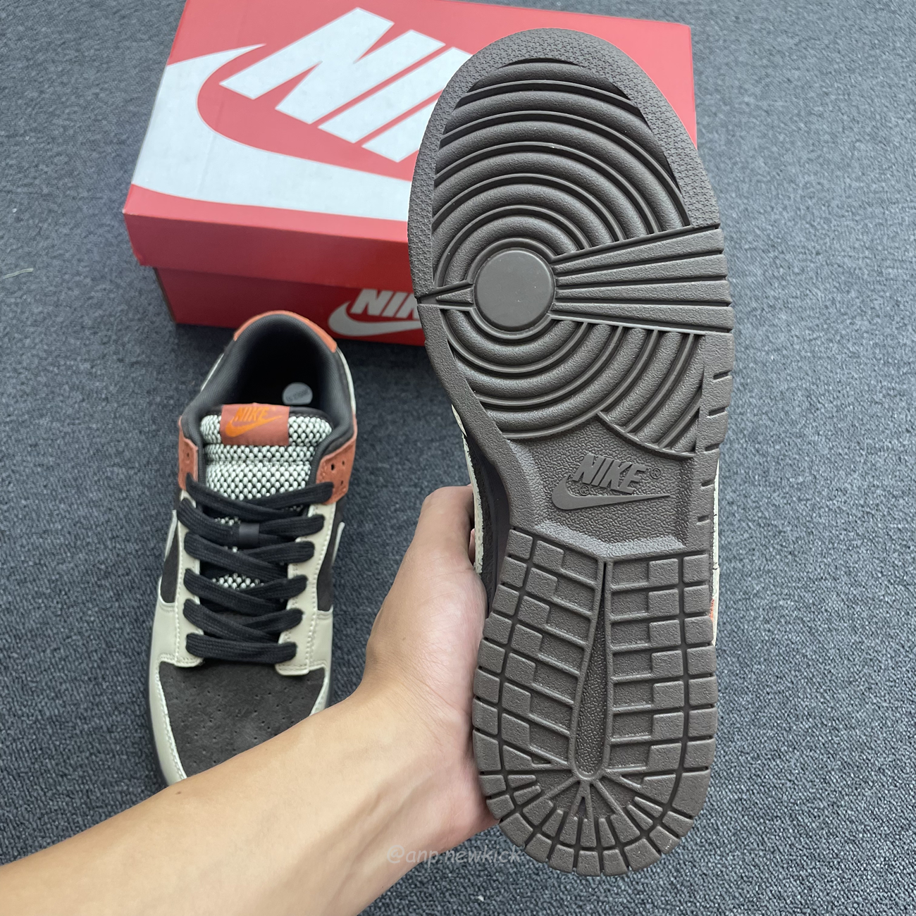 Nike Dunk Low Red Panda Fv0305 200 (9) - www.newkick.vip