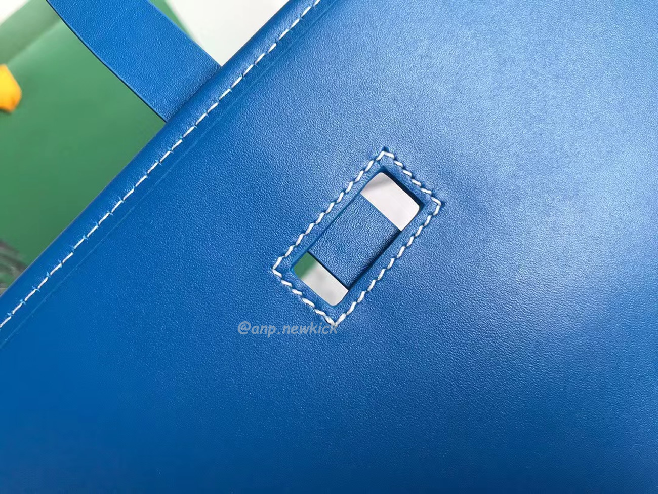 Goyard Belvedere Pm Green Red Sky Blue Black Yellow (11) - www.newkick.vip