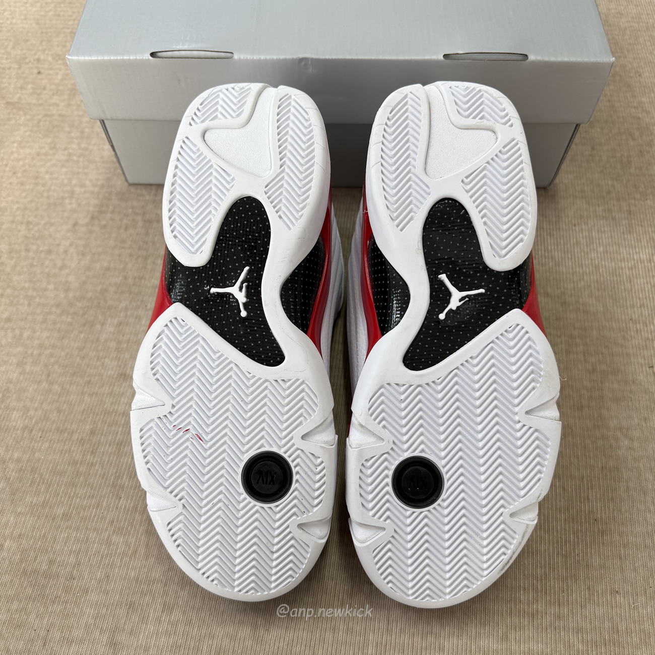 Air Jordan 14 Retro Rip Hamilton 487471 100 (2) - www.newkick.vip