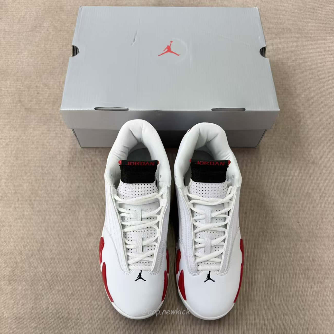 Air Jordan 14 Retro Rip Hamilton 487471 100 (4) - www.newkick.vip