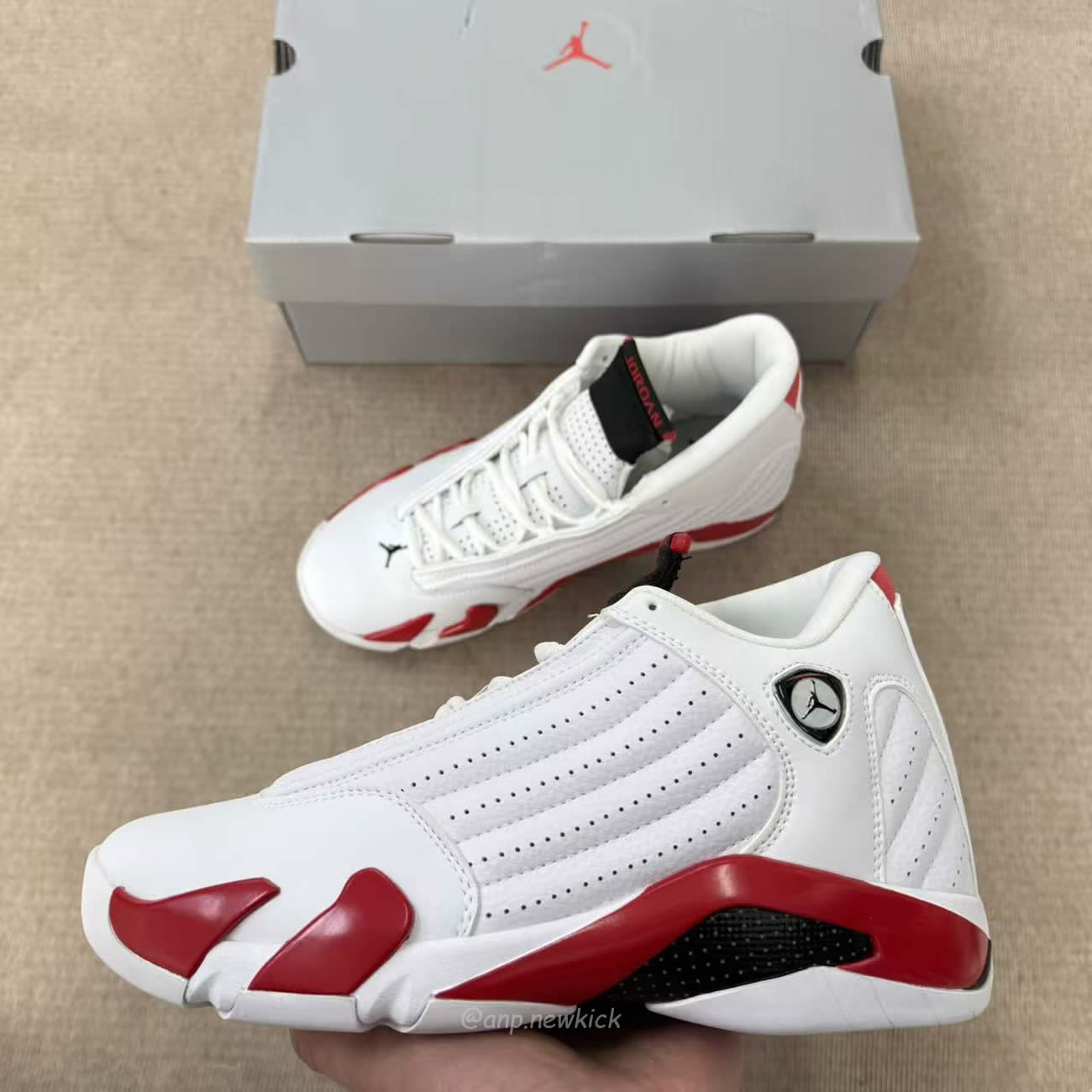 Air Jordan 14 Retro Rip Hamilton 487471 100 (6) - www.newkick.vip