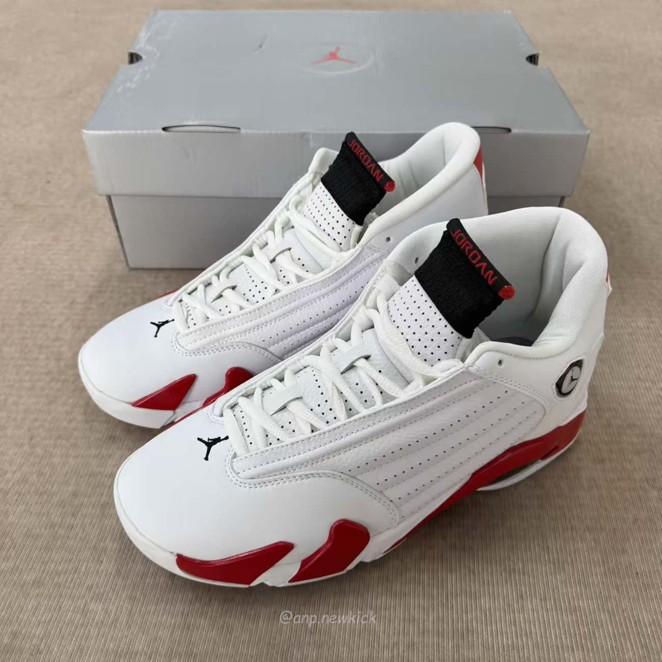 Air Jordan 14 Retro Rip Hamilton 487471 100 (7) - www.newkick.vip