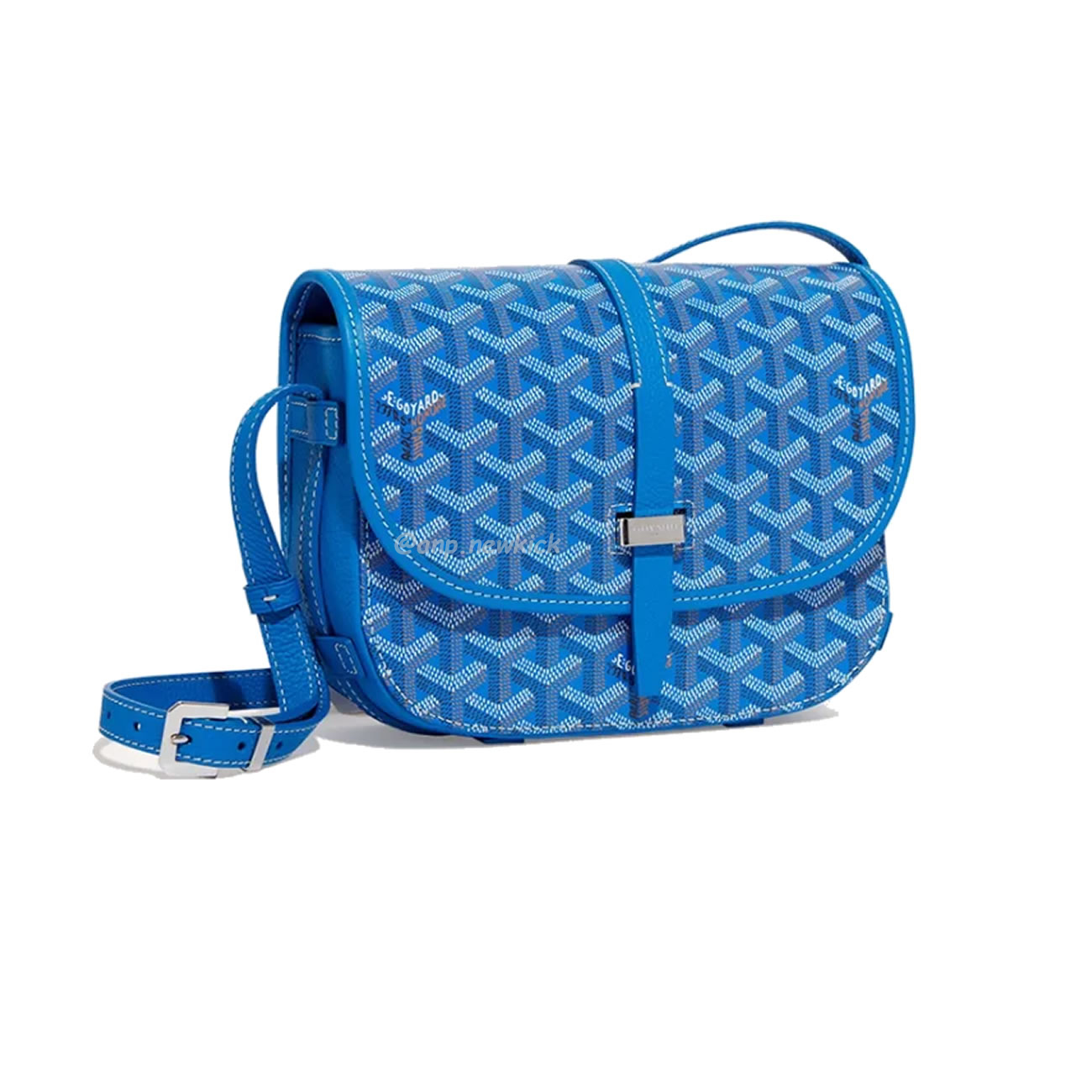 Goyard Belvedere Shoulder Bag (12) - www.newkick.vip