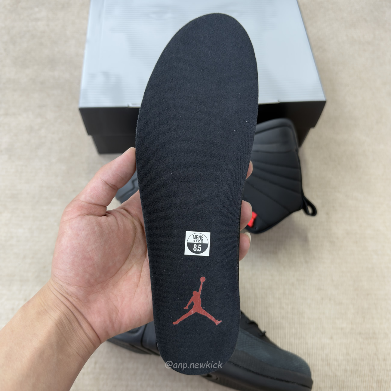 Air Jordan 12 Retro Bloodline Black Ct8013 003 (2) - www.newkick.vip
