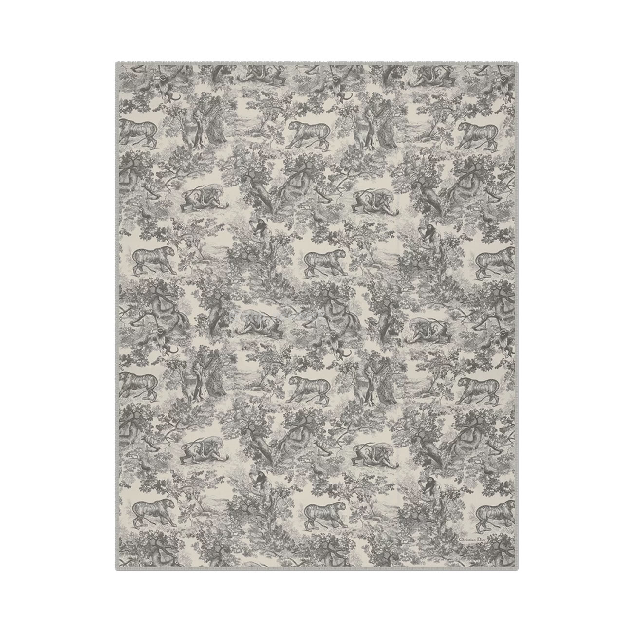 Dior Printed Shawl Cashmere Fabrics Sauvage Ruyi Print 140x180cm (6) - www.newkick.vip