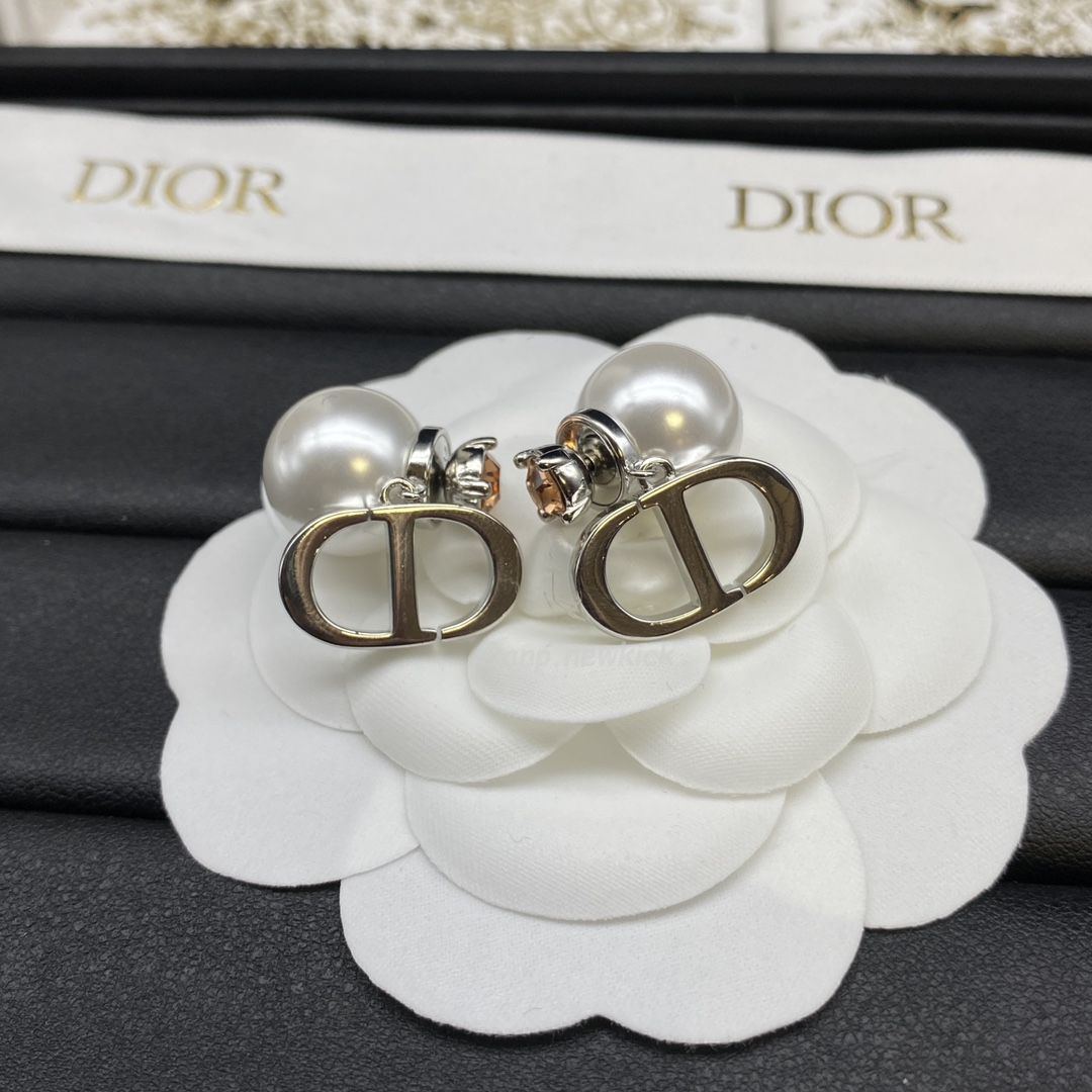 Dior Earrings (13) - www.newkick.vip Dior Earrings (13) - www.newkick.vip