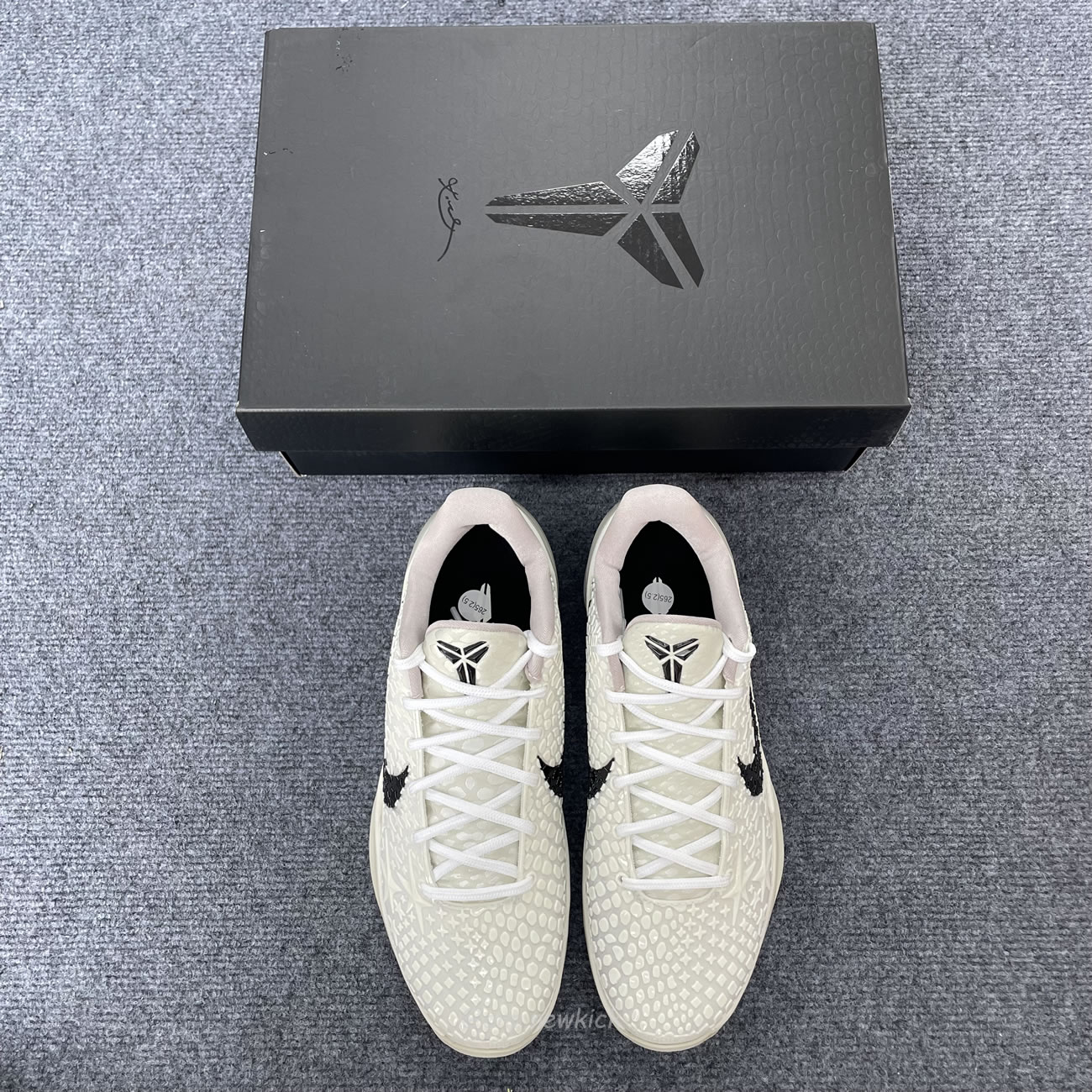 Nike Kobe 6 Protro Sail All Star Fq3546 100 (6) - www.newkick.vip