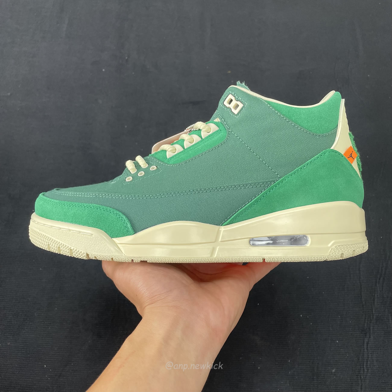 Air Jordan 3 Retro Sp Nina Chanel Abney Bicoastal Womens Fz7974 300 (3) - www.newkick.vip