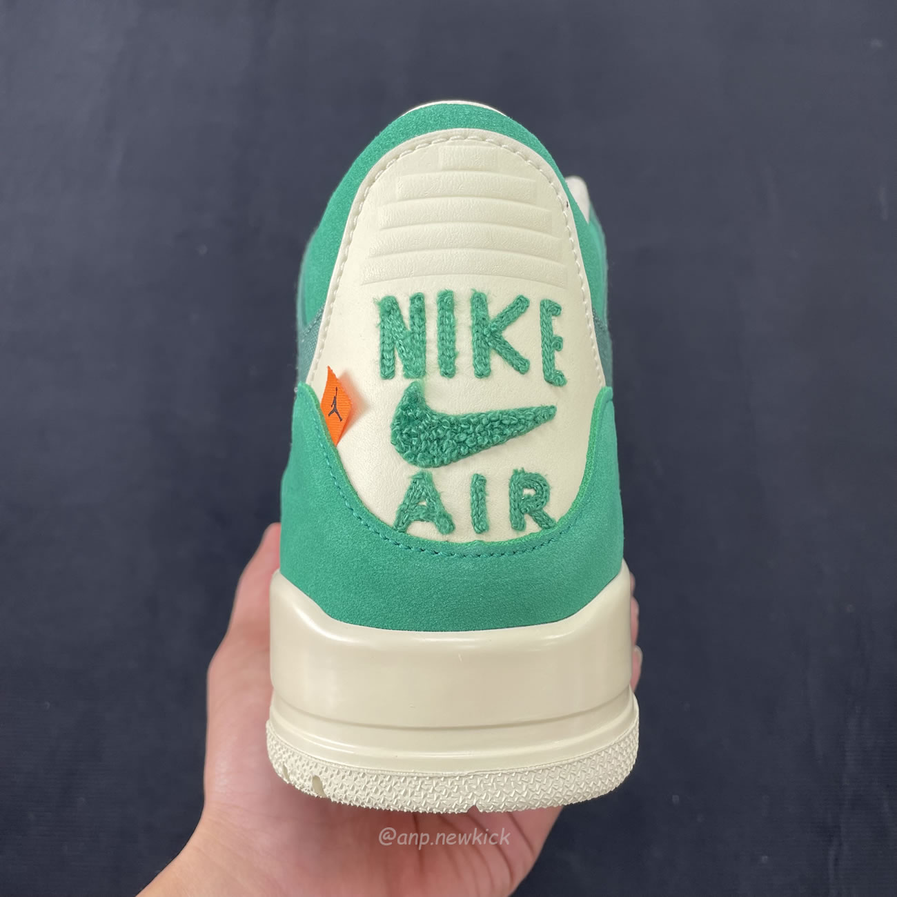 Air Jordan 3 Retro Sp Nina Chanel Abney Bicoastal Womens Fz7974 300 (7) - www.newkick.vip