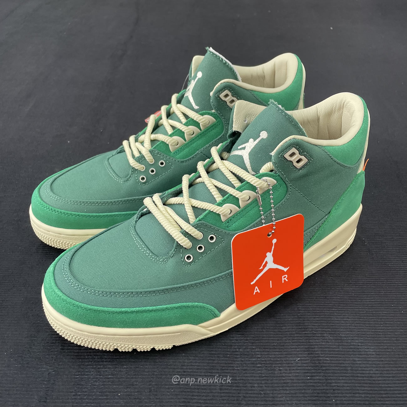 Air Jordan 3 Retro Sp Nina Chanel Abney Bicoastal Womens Fz7974 300 (9) - www.newkick.vip