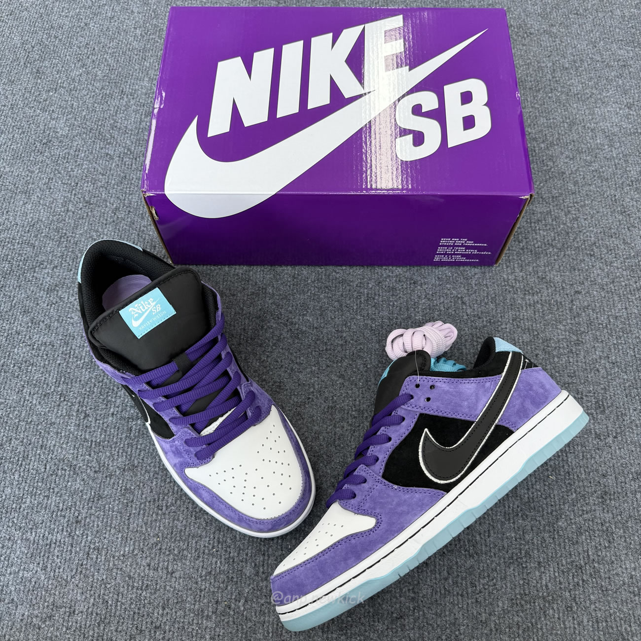 Nike Sb Dunk Low Hayley Wilson Hj0513 500 (10) - www.newkick.vip