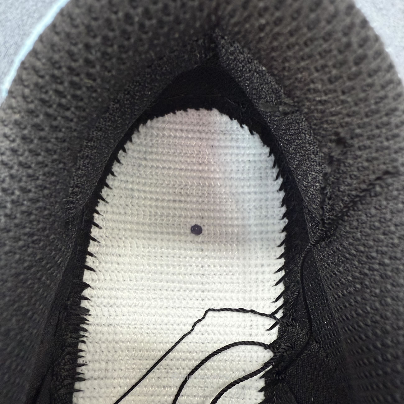 Nike Sb Dunk Low Hayley Wilson Hj0513 500 (4) - www.newkick.vip