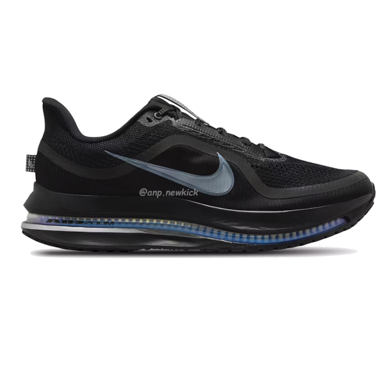 Nike Air Zoom Pegasus Premium Airscape (12) - www.newkick.vip