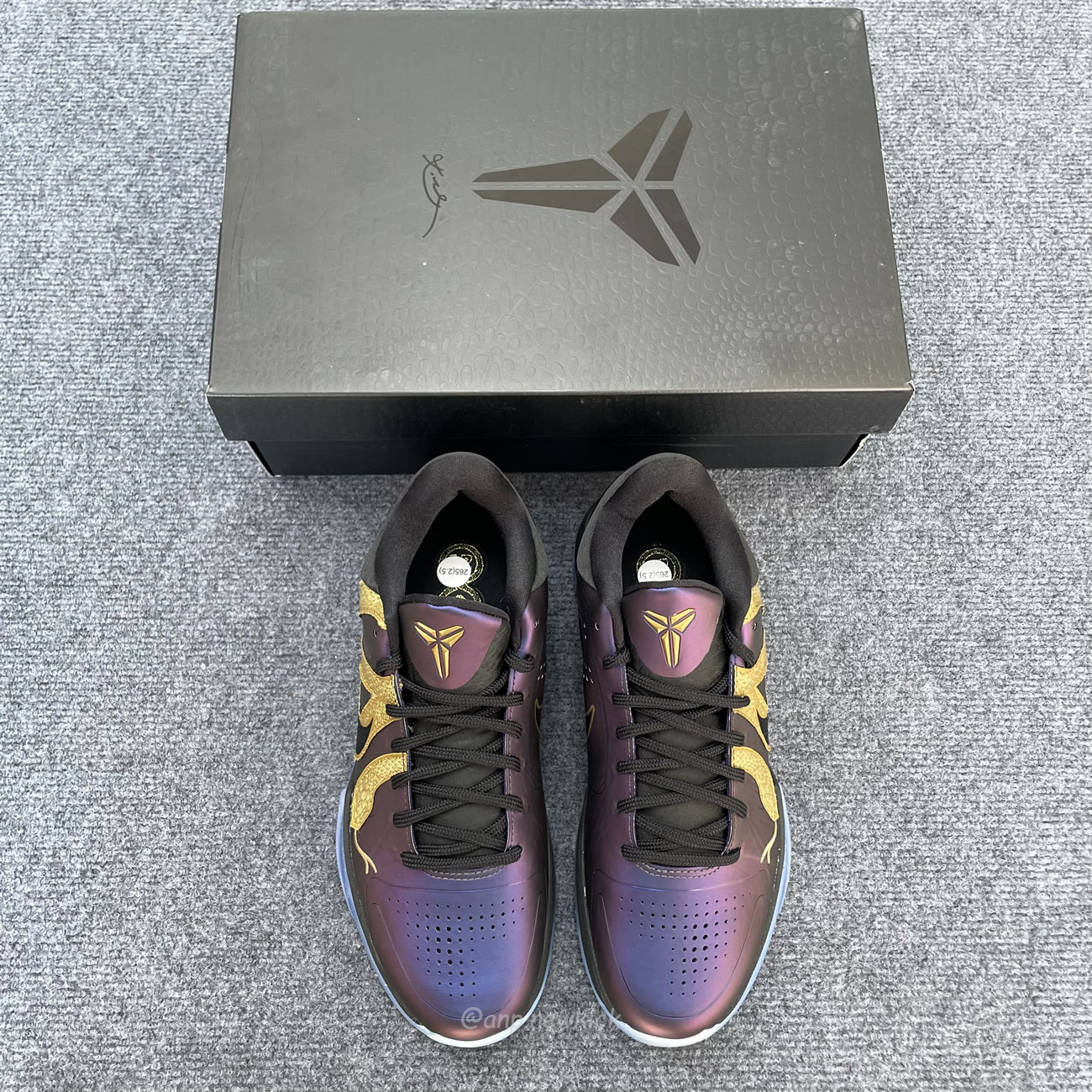 Nike Kobe 5 Protro Year Of The Mamba Eggplant Ib4481 500 (6) - www.newkick.vip