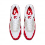 Nike Air Max 1 Anniversary Red 20172018 Restock Pair 908375-103