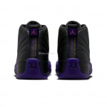 Air Jordan 12 Retro Field Purple CT8013-057