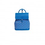 GOYARD Alpin Mini backpack
