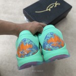 Nike Kobe 5 Protro Jalen Brunson NY vs. NY PE IX1200-300